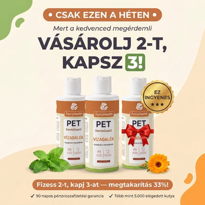 DentaGuard Visszatérő