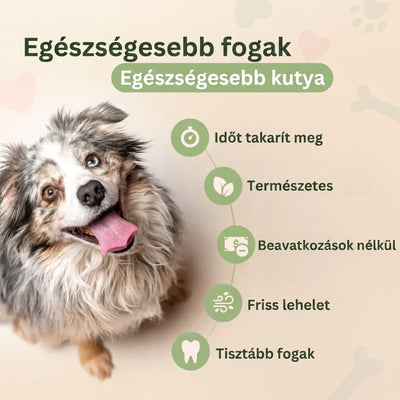 DentaGuard Visszatérő