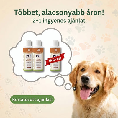 DentaGuard Visszatérő