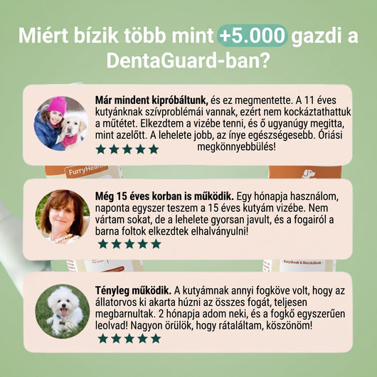 DentaGuard Visszatérő