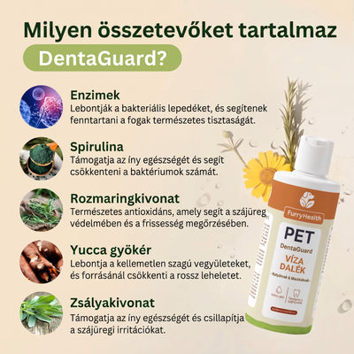 DentaGuard Visszatérő