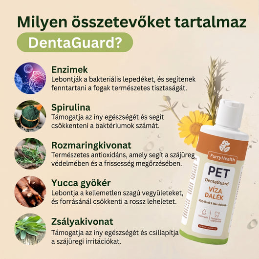 DentaGuard Visszatérő
